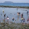 江川海岸の潮干狩りの口コミをチェック！ウユニ塩湖でアサリもとれる？